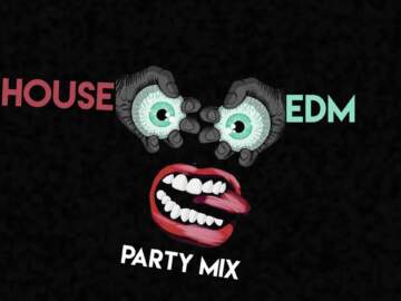 House & EDM Party Mix 2022 November – Trippy Cat