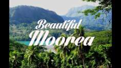 Beautiful MO’OREA Honeymoon Chillout & Lounge Mix Del Mar