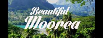 Beautiful MO’OREA Honeymoon Chillout & Lounge Mix Del Mar