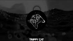 Melodic Techno & House Mix 2022 Winter | Trippy Cat