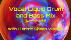 Vocal Liquid Drum and Bass Mix Summer 2019 With Electric