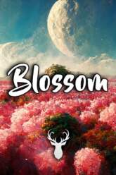 Blossom | Beautiful Chill Mix