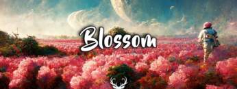 Blossom | Beautiful Chill Mix