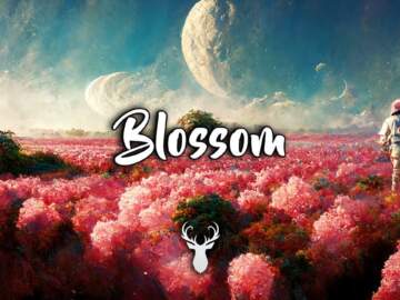 Blossom | Beautiful Chill Mix