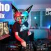 Hozho Melodark Minimal DJ Mix (mixed by Electro Cat)