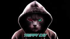 Trippy Cat – Coronita Minimal Techno 2020 September