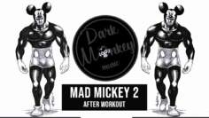 Minimal Techno Mix EDM Minimal Mad Mickey 2 After Workout