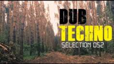 DUB TECHNO || Selection 052 || Forest Dive