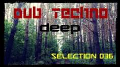 Deep DUB TECHNO || Selection 036 || Echoes in the