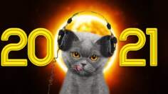 New Year Mix 2021 Underground Minimal & Techno Mix [