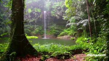 Ambient for Relaxation and Meditation – TropicalWaterfall