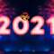 New Year Music Mix 2021 ♫ Best Music 2020 Party Mix ♫ Remixes of Popular Songs by RTTWLR