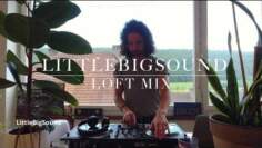 Groovy House Classics DJ Set I LittleBigSound Live Mix