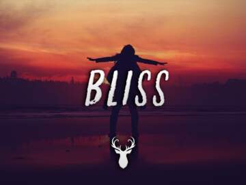 Bliss | Chillstep Mix