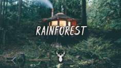 Rainforest | Chill Mix