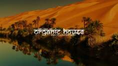 Organic House Mix (Oliver Koletzki, Stavroz, Luka, etc) East Wind