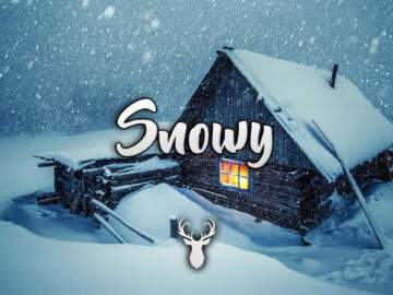 Snowy | Winter Chill Mix