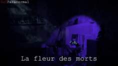 Gui Paranormal.La fleur des morts