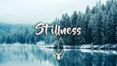 Stillness | Winter Chill Mix