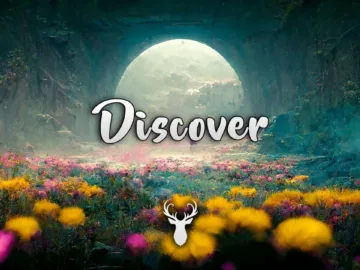 Discover | Chill Music Mix