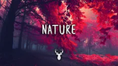 Nature | Chill Mix