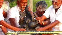 VTSS – பனங்குடி நாடு திருத்திப்பட்டி – அருள்மிகு ஸ்ரீசெல்வ விநாயகர் அஷ்டபந்தன