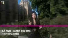 MIXTAPE FUNKY HOUSE 2023 – LÀ ANH – TÚY HỒNG