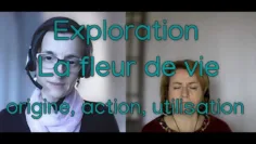 exploration – la fleur de vie – Origine, action, utilisation.