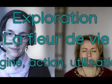 exploration – la fleur de vie – Origine, action, utilisation.