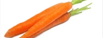 Evosonic Mix DJ Karotte II