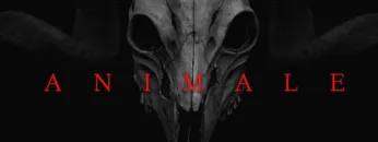 Dark Techno / EBM / Industrial Bass Mix ‘ANIMALE’ [Copyright