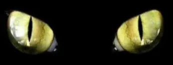 kevin saunderson – reve d’o – 1999