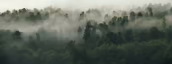 Yotto – Lane 8 – Ben Böhmer – Mees Salomé