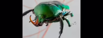 Fabric 95 – Roman Flügel (2017) Full Mix Album