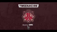 Defqon 1 Tweekacore b2b Darren Styles HQ defqon set