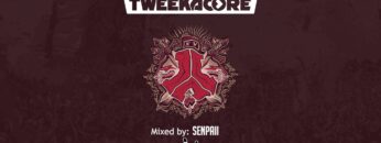 Defqon 1 Tweekacore b2b Darren Styles HQ defqon set