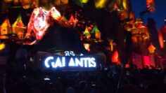 Galantis 2015 Electric Daisy Carnival EDC Full 1080HD Live Set