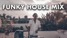 Funky House Mix: Tasty Funky Discohouse 2 Live DJ Set