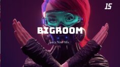 EP 15 | Bigroom & Commerical Mix | Maxximixx |