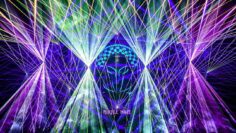 PURPLE HAZE ▼ TRANSMISSION PRAGUE 2017: The Spirit of the