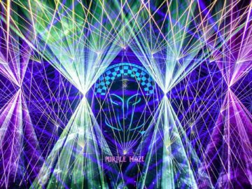 PURPLE HAZE ▼ TRANSMISSION PRAGUE 2017: The Spirit of the