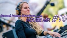 【DIPLO,PAUL WOOLFORD,PETE TONG】2021年上半期ヒットHOUSE MUSICを満載したDJMIX【作業用】