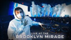 Alan Walker – The Brooklyn Mirage (Full Show)