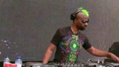 Tomorrowland 2015 | Green Velvet