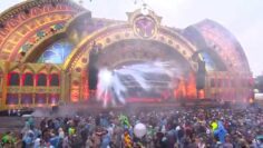 Tomorrowland 2015 | Chris Liebing