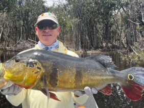 Peacock Bass in the Amazon: Remote floating camp, January 2025,