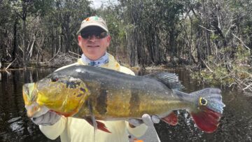 Peacock Bass in the Amazon: Remote floating camp, January 2025,